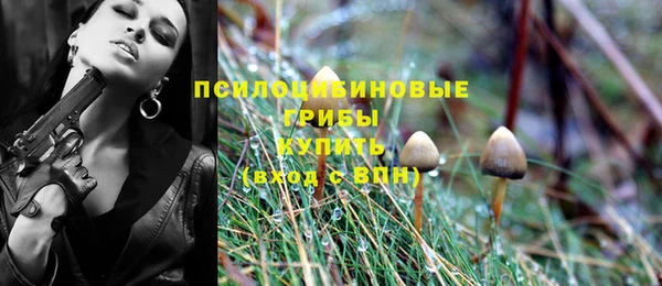первитин Абаза