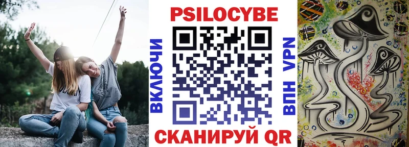 Галлюциногенные грибы MAGIC MUSHROOMS Александровск-Сахалинский
