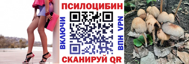 даркнет сайт  Александровск-Сахалинский  Галлюциногенные грибы GOLDEN TEACHER 